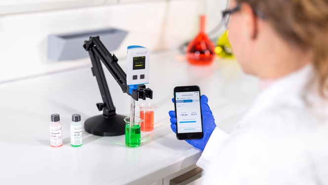 Laboratory employee examining grab samples in the lab