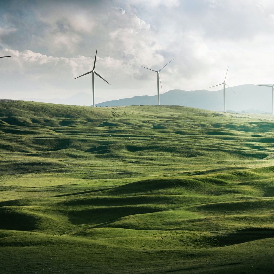 Windmills in green fields