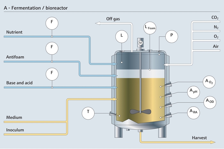 Fermentation in a bioreactor and the related measuring points