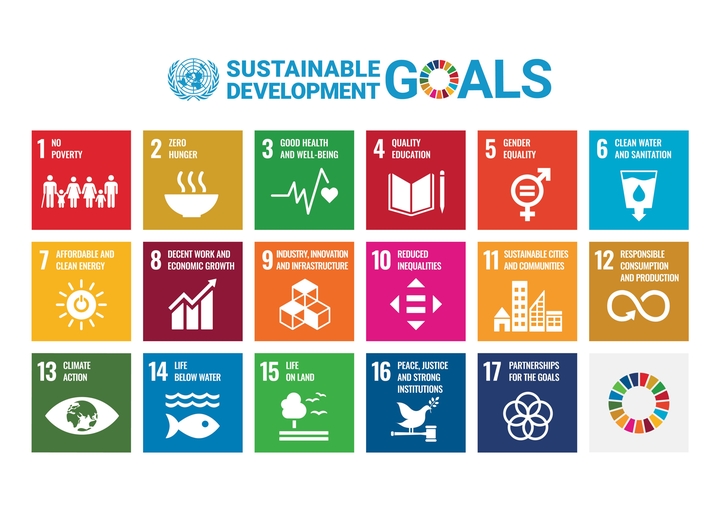 The 17 Goals of Sustainable Development of the United Nations